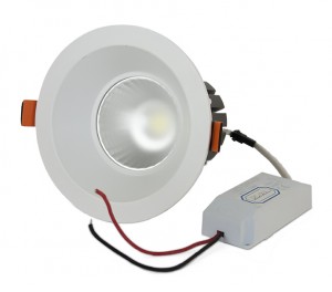 Faro LED  25W con Luce LED Colore Bianco Freddo Illuminazione per Interno