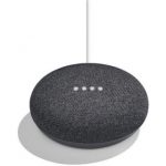 mini smart speaker google